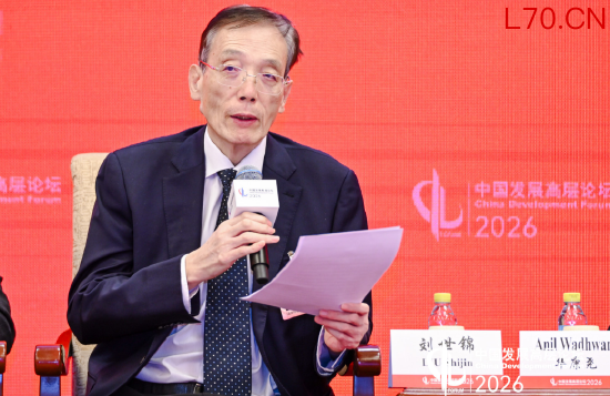 刘世锦：加快以新能源为主体的新型电力系统建设