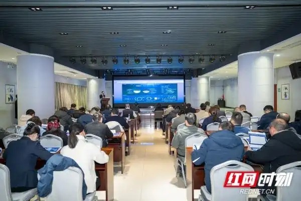 星电集团以数智化管控平台驱动企业管理现代化变革