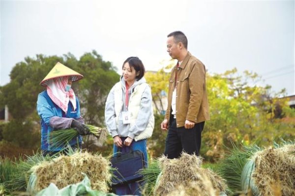 深度关注丨助力“千万工程”全面开花