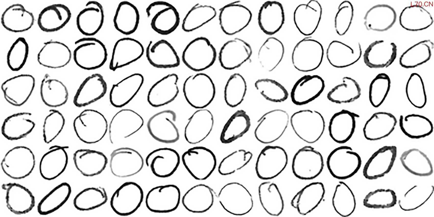 CircleID竞赛的手绘圆圈扫描图 （受访者提供）