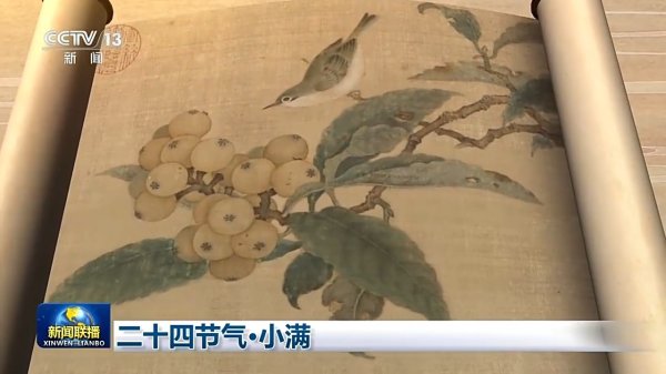 文化中国行丨二十四节气·小满