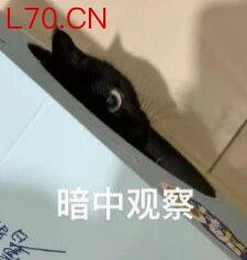阶跃星辰杀入季后赛，强势跻身AI“新六小虎”第一梯队