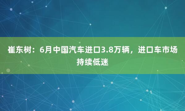 崔东树：6月中国汽车进口3.8万辆，进口车市场持续低迷