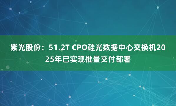 紫光股份:51.2T CPO硅光数据中心交换机2025年已实现批量交付部署
