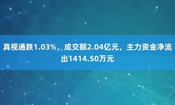 真视通跌1.03%，成交额2.04亿元，主力资金净流出1414.50万元