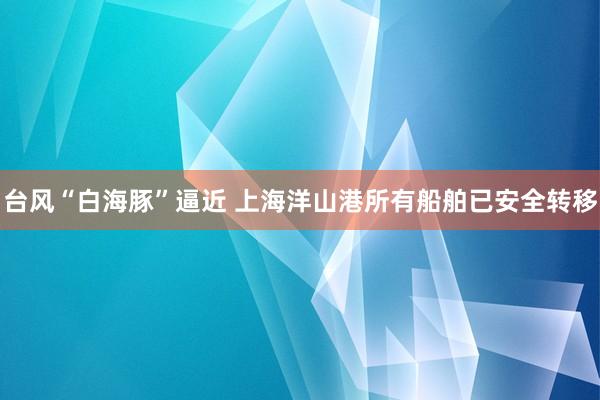 台风“白海豚”逼近 上海洋山港所有船舶已安全转移