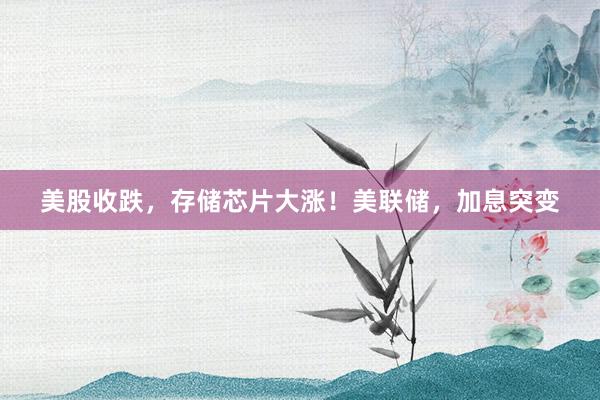 美股收跌，存储芯片大涨！美联储，加息突变
