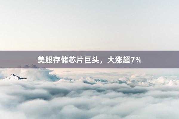 美股存储芯片巨头，大涨超7%