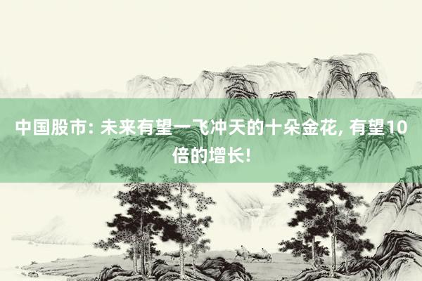 中国股市: 未来有望一飞冲天的十朵金花, 有望10倍的增长!
