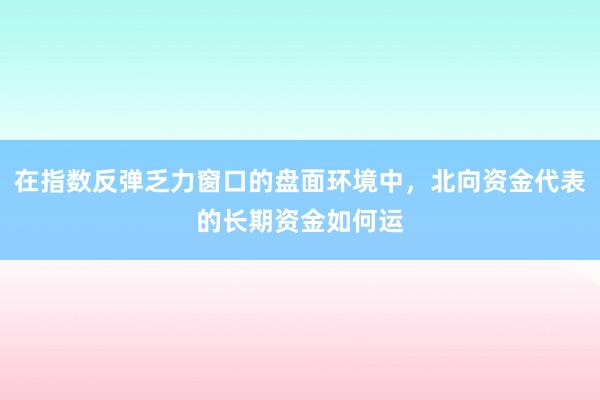 在指数反弹乏力窗口的盘面环境中，北向资金代表的长期资金如何运