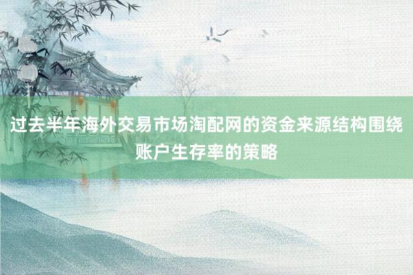 过去半年海外交易市场淘配网的资金来源结构围绕账户生存率的策略