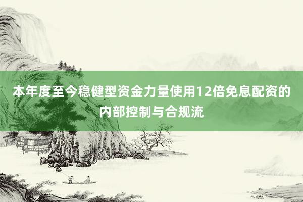 本年度至今稳健型资金力量使用12倍免息配资的内部控制与合规流