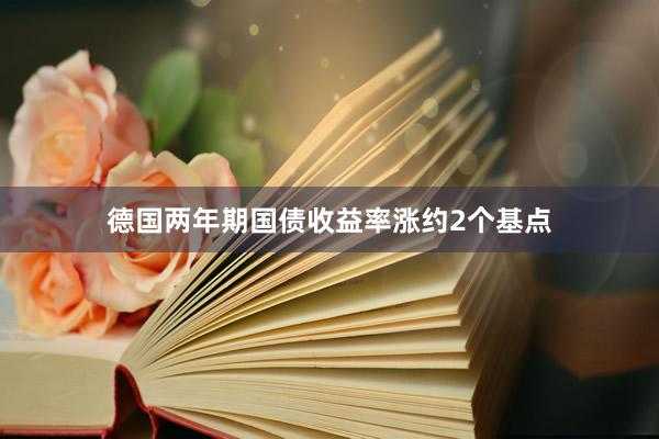 德国两年期国债收益率涨约2个基点
