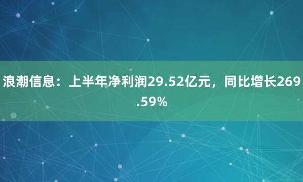 浪潮信息：上半年净利润29.52亿元，同比增长269.59%