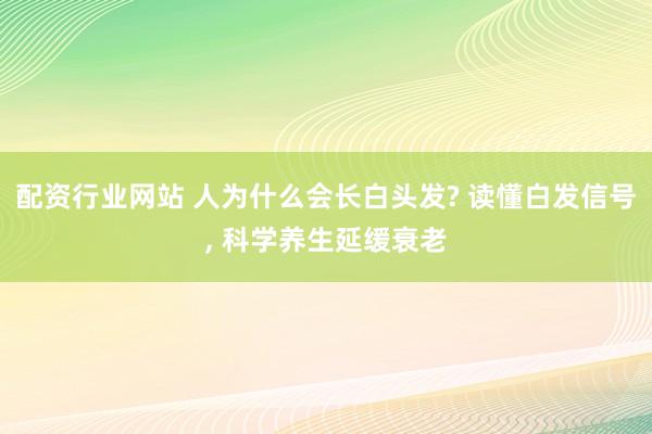 配资行业网站 人为什么会长白头发? 读懂白发信号, 科学养生延缓衰老