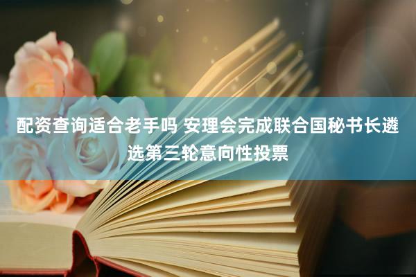 配资查询适合老手吗 安理会完成联合国秘书长遴选第三轮意向性投票