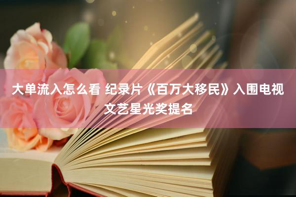 大单流入怎么看 纪录片《百万大移民》入围电视文艺星光奖提名