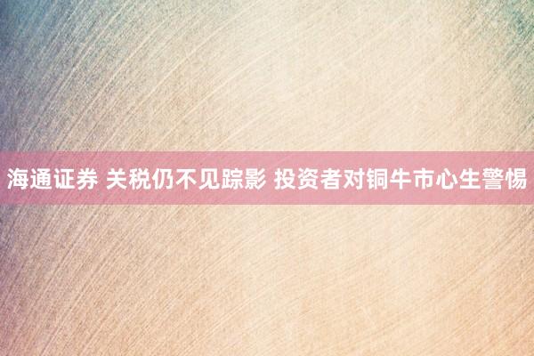 海通证券 关税仍不见踪影 投资者对铜牛市心生警惕